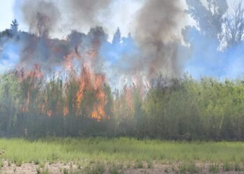 Nessuna causa dolosa per l’incendio a Serrauccelli del luglio scorso