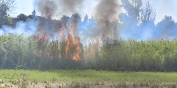 Nessuna causa dolosa per l’incendio a Serrauccelli del luglio scorso