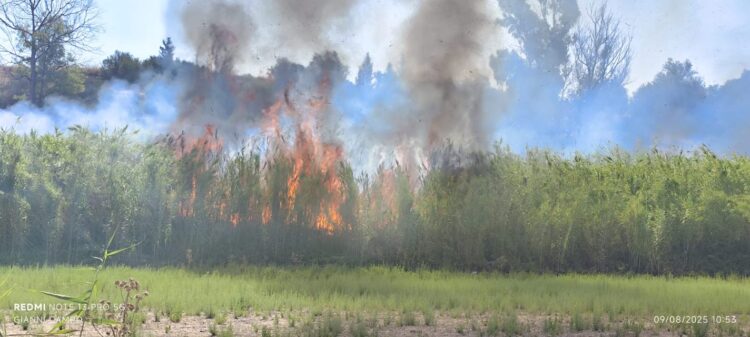 Nessuna causa dolosa per l’incendio a Serrauccelli del luglio scorso