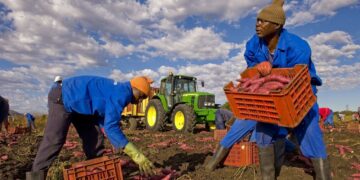 Vittoria, impiegò un lavoratore senza permesso di soggiorno: condannato a 4 mesi di reclusione