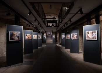 Modica, inaugurata la mostra “Santi – icone per un tempo profano”