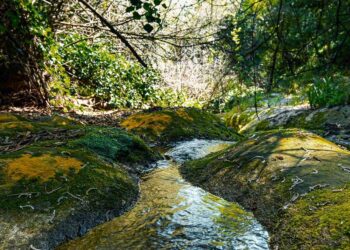 Giornata mondiale dell’acqua, il club Lions Ragusa Host promuove una passeggiata alla scoperta delle sorgenti iblee