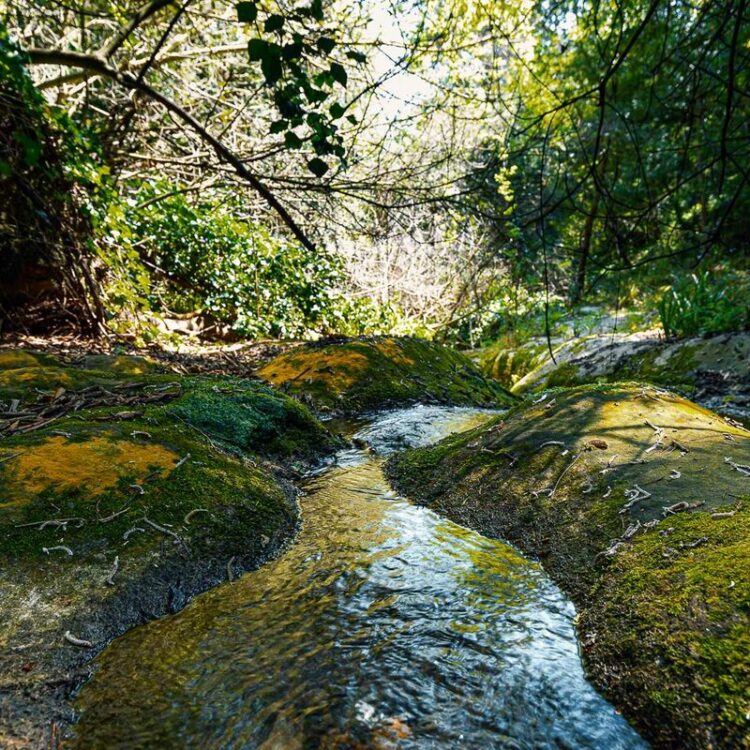 Giornata mondiale dell’acqua, il club Lions Ragusa Host promuove una passeggiata alla scoperta delle sorgenti iblee