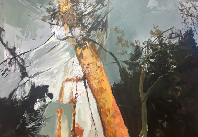 A Scicli la mostra “acqua filo mano luce”