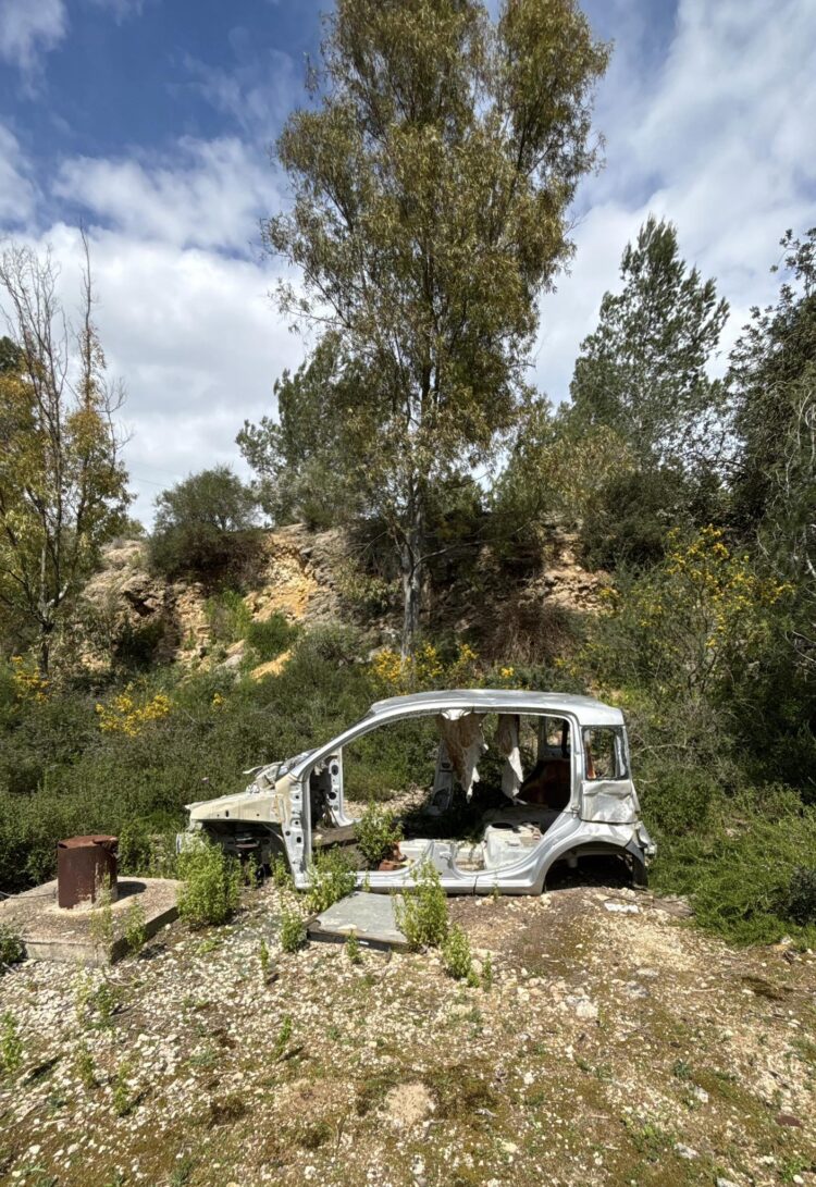 Vittoria, una Panda smantellata ritrovata nel cuore di un boschetto della riserva