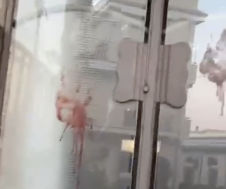 Pozzallo: lite in piazza Cesare Battisti finisce nel sangue