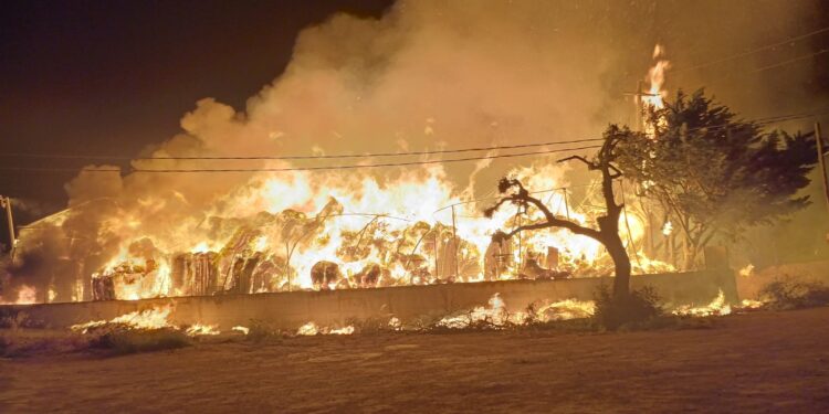 Santa Croce Camerina, fiamme nella notte. Distrutta l’azienda Orto Imballaggi