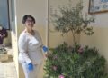 Ragusa, il giardinaggio all’Anffas e la crescita delle persone