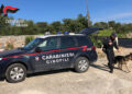 Ispica, droga nascosta in casa e nei mobili: due arresti e una denuncia