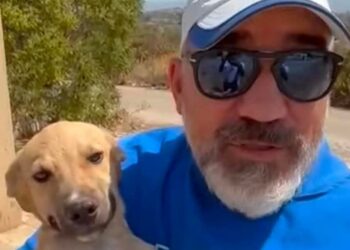 L’ambientalista ibleo Riccardo Zingaro lascia il gruppo “Terre pulite”