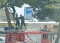 Vittoria, i vigili del fuoco salvano un gattino in cima a un albero