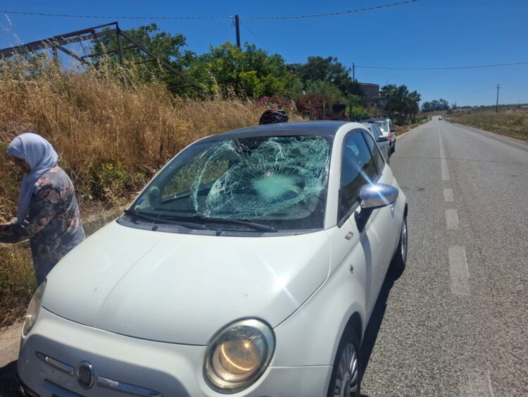 Acate, fugge dai randagi e si scontra con un’auto: grave un giovane magrebino