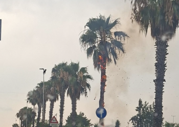 Maltempo a Vittoria, fulmine colpisce una palma che prende fuoco
