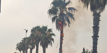 Maltempo a Vittoria, fulmine colpisce una palma che prende fuoco