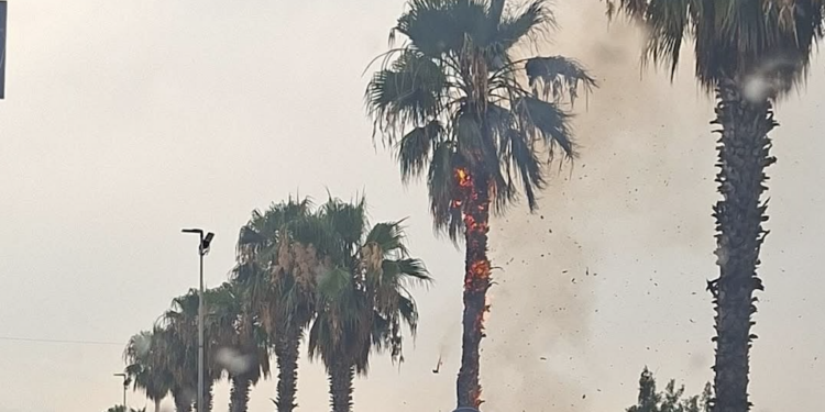 Maltempo a Vittoria, fulmine colpisce una palma che prende fuoco