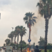 Maltempo a Vittoria, fulmine colpisce una palma che prende fuoco
