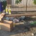 Marina di Ragusa, il risveglio è tra i rifiuti