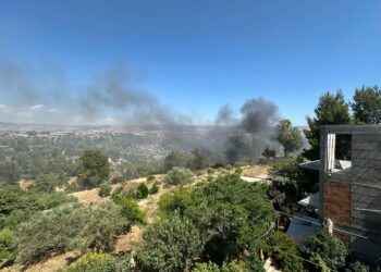 Vittoria, rogo in corso nella valle dell’Ippari: le fiamme si dirigono verso il canile comunale