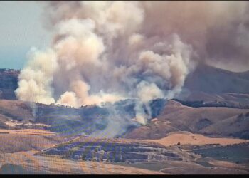 In fiamme l’area limitrofa alla diga di Santa Rosalia