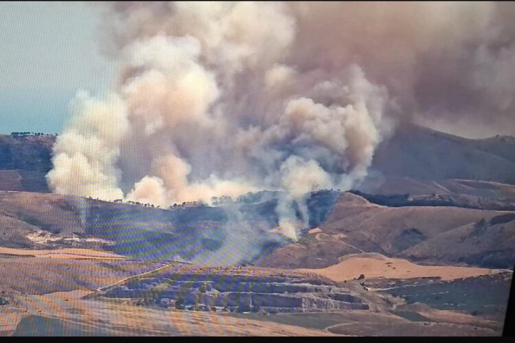 In fiamme l’area limitrofa alla diga di Santa Rosalia