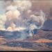In fiamme l’area limitrofa alla diga di Santa Rosalia