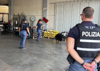 Controlli al mercato ortofrutticolo di Vittoria, ecco l’esito dell’attività svolta dalla polizia