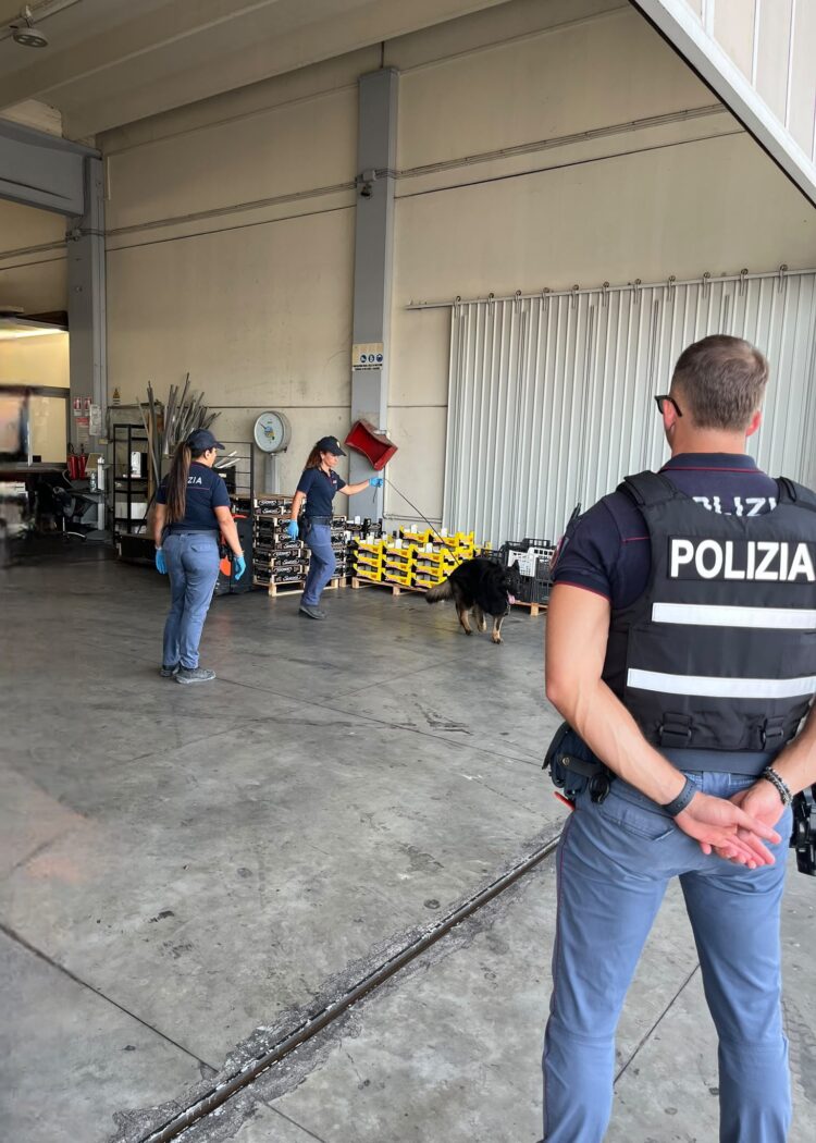 Controlli al mercato ortofrutticolo di Vittoria, ecco l’esito dell’attività svolta dalla polizia