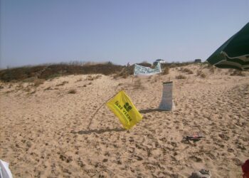 “No all’utilizzo delle ruspe per ripulire gli arenili”