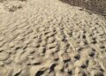 “La spiaggia di Casuzze-Caucana è un disastro”