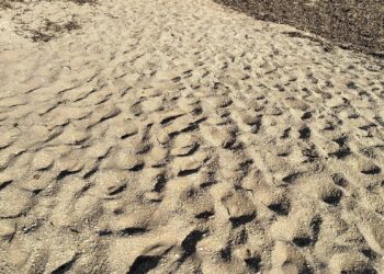 “La spiaggia di Casuzze-Caucana è un disastro”
