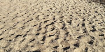 “La spiaggia di Casuzze-Caucana è un disastro”