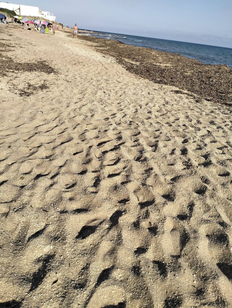 “La spiaggia di Casuzze-Caucana è un disastro”