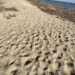 “La spiaggia di Casuzze-Caucana è un disastro”