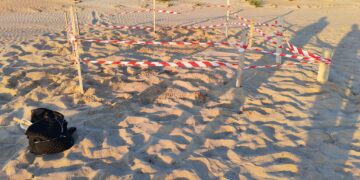 Scoglitti, individuato il secondo nido di tartarughe marine