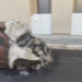 Vittoria, auto in fiamme tra via Gaeta e via Vicenza
