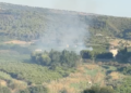 In fiamme la riserva del Pino d’Aleppo, fenomeno inquietante