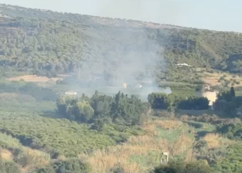 In fiamme la riserva del Pino d’Aleppo, fenomeno inquietante