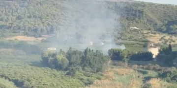 In fiamme la riserva del Pino d’Aleppo, fenomeno inquietante