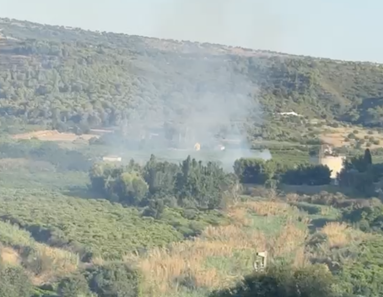 In fiamme la riserva del Pino d’Aleppo, fenomeno inquietante