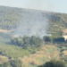 In fiamme la riserva del Pino d’Aleppo, fenomeno inquietante