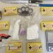 Blitz antidroga a Ragusa, in cella un 29enne di origini tunisine