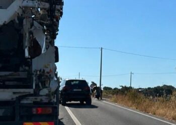 Auto contro vitelli lungo la cosiddetta strada del Cinque Zucchi tra Ragusa e Vittoria