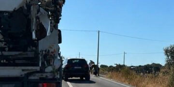 Auto contro vitelli lungo la cosiddetta strada del Cinque Zucchi tra Ragusa e Vittoria