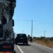 Auto contro vitelli lungo la cosiddetta strada del Cinque Zucchi tra Ragusa e Vittoria