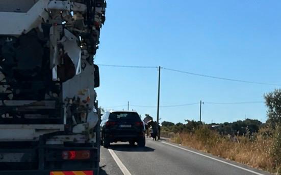 Auto contro vitelli lungo la cosiddetta strada del Cinque Zucchi tra Ragusa e Vittoria