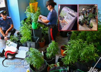 Ragusa, coltivava marijuana in casa: arrestato un 44enne