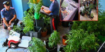 Ragusa, coltivava marijuana in casa: arrestato un 44enne