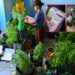 Ragusa, coltivava marijuana in casa: arrestato un 44enne
