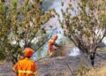 Il gruppo Alfa di protezione civile impegnato a contenere una serie di incendi