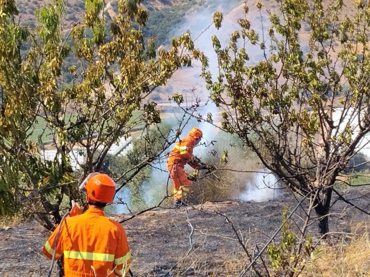 Il gruppo Alfa di protezione civile impegnato a contenere una serie di incendi